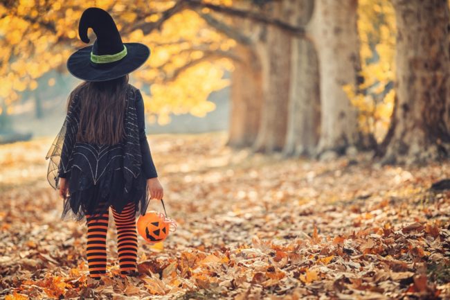 7 Fun Facts about Witches